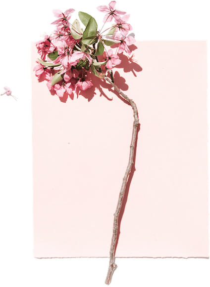 Fleurs