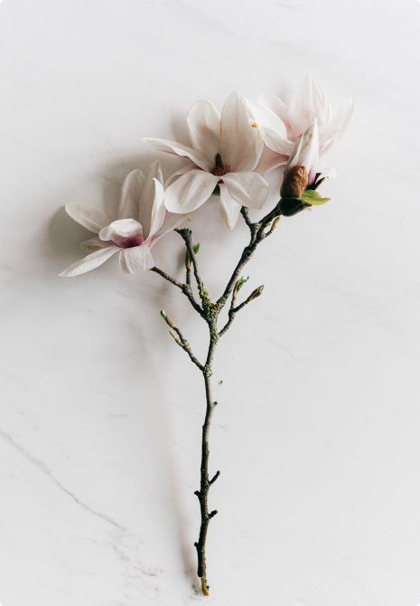 composition